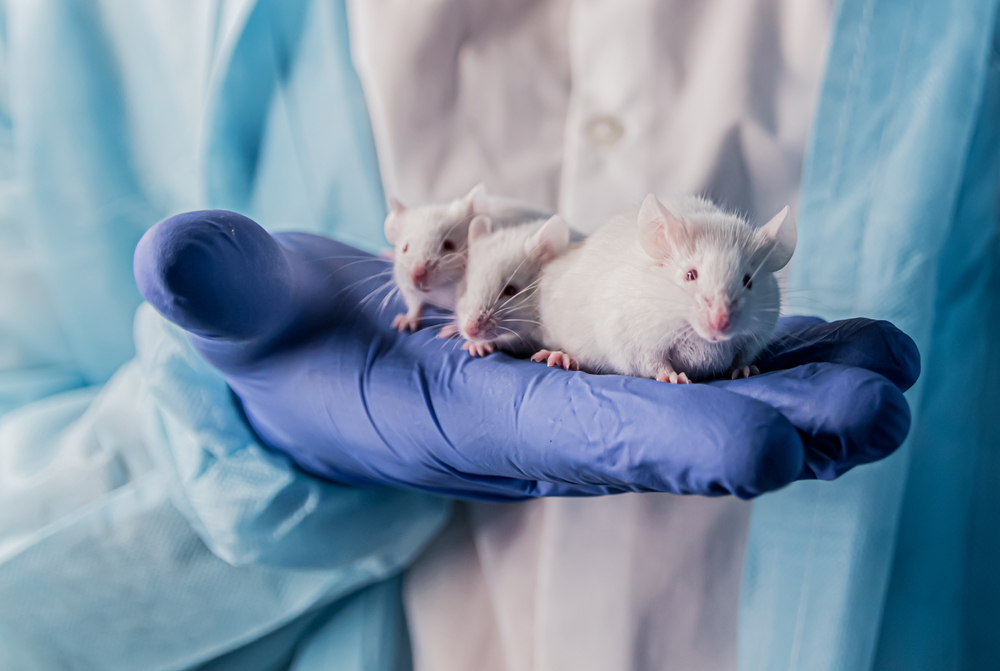 Dagli interferenti endocrini disturbi cognitivi che si tramandano in generazioni future