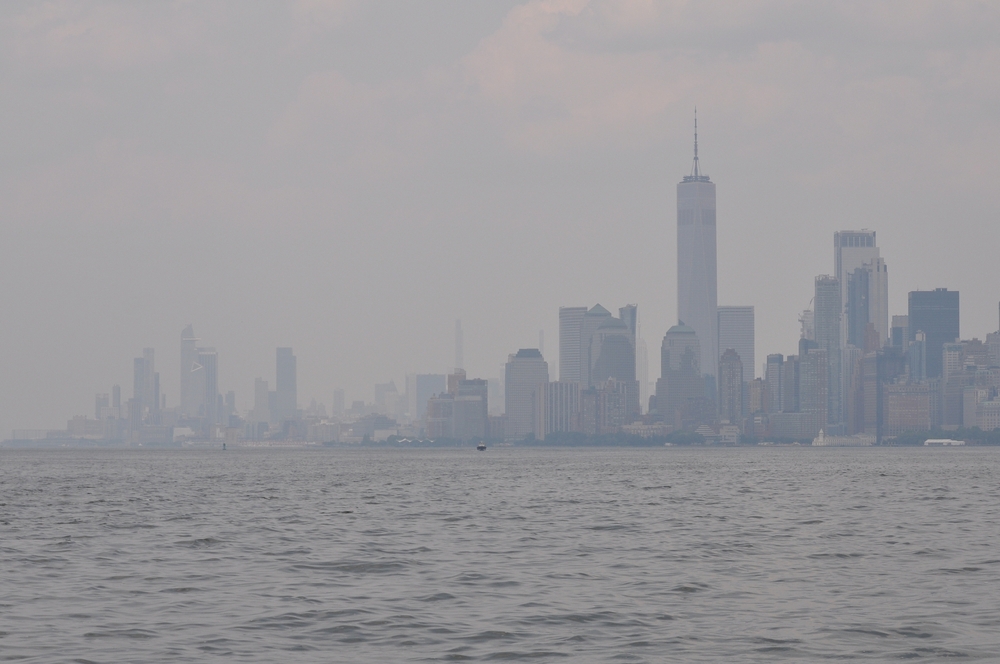 Usa: da infezioni a infarto, tossicologo rivela gli effetti del fumo degli incendi