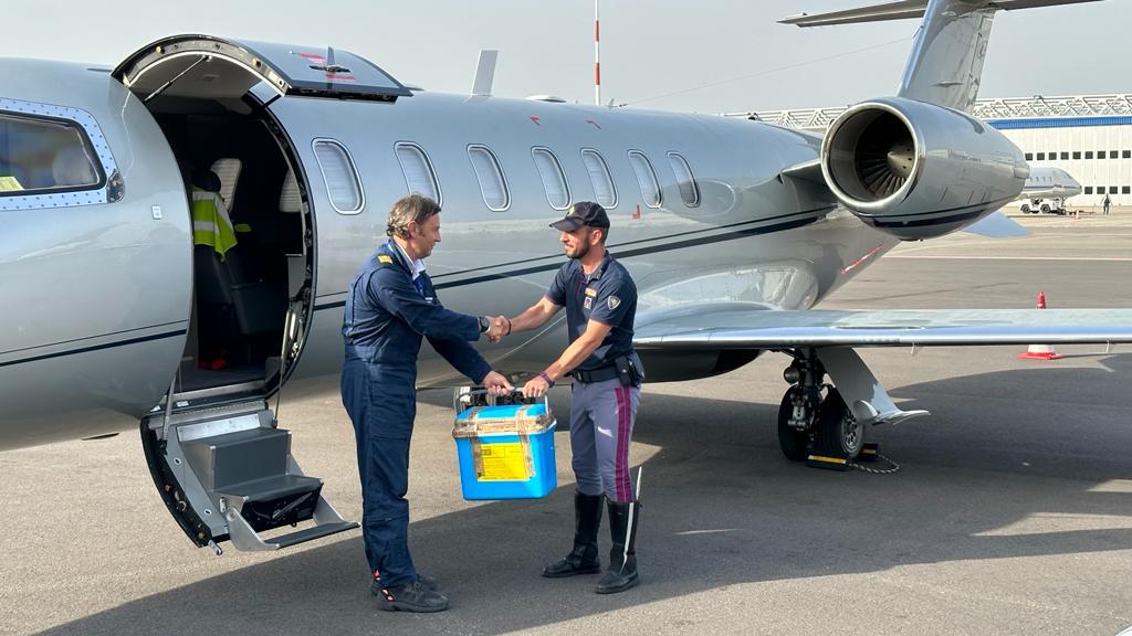 Trapianti di rene incrociati: prima tripla donazione internazionale tra Padova, Barcellona e Bilbao