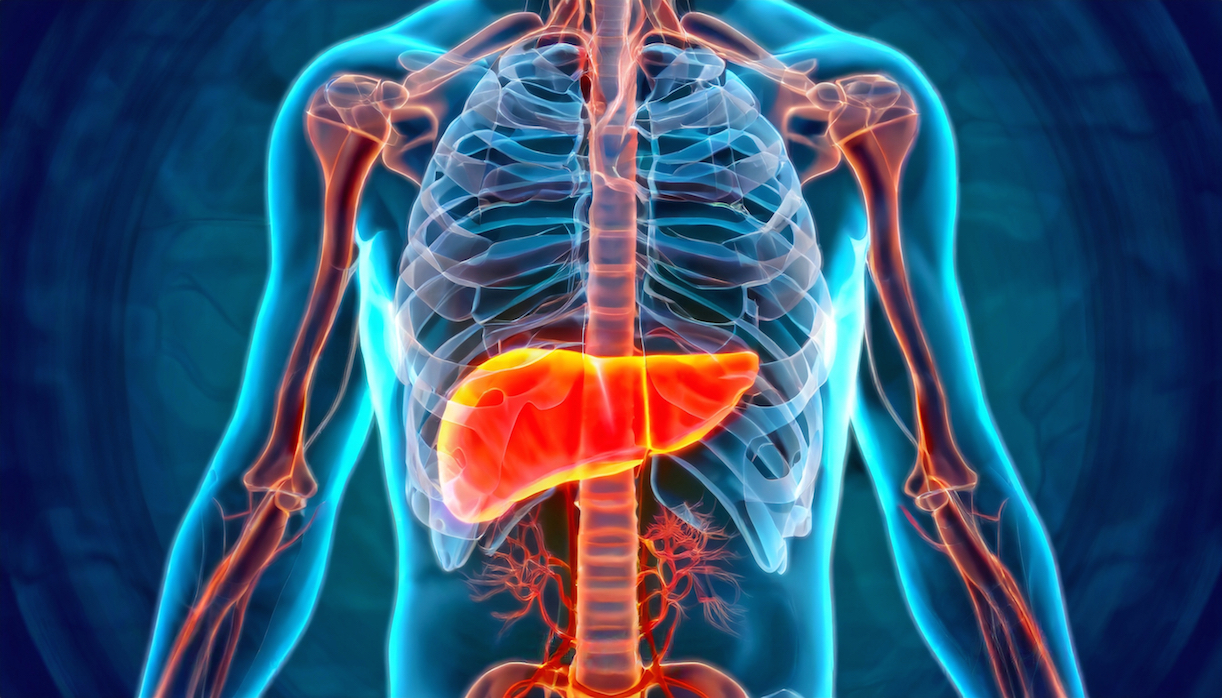 Trapianti di pancreas e insule: una speranza per il diabete