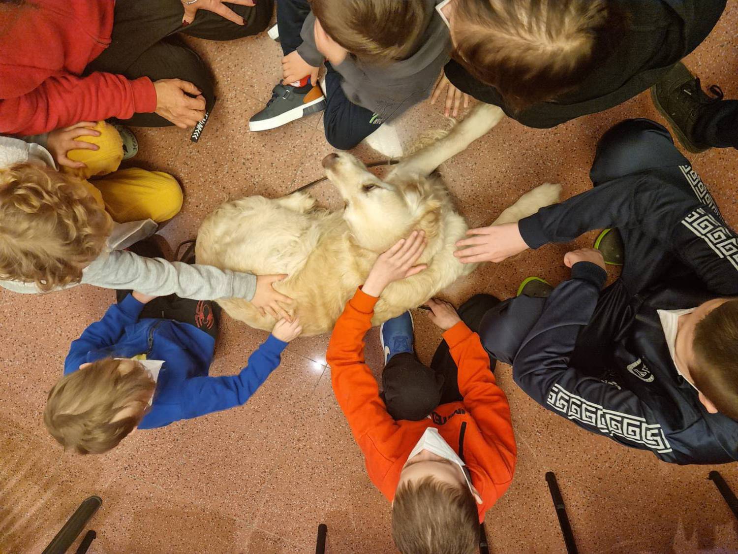 Giornata mondiale contro il cancro infantile, dalla raccolta sangue alla pet terapy: tutte le iniziative di Peter Pan Odv per i piccoli pazienti