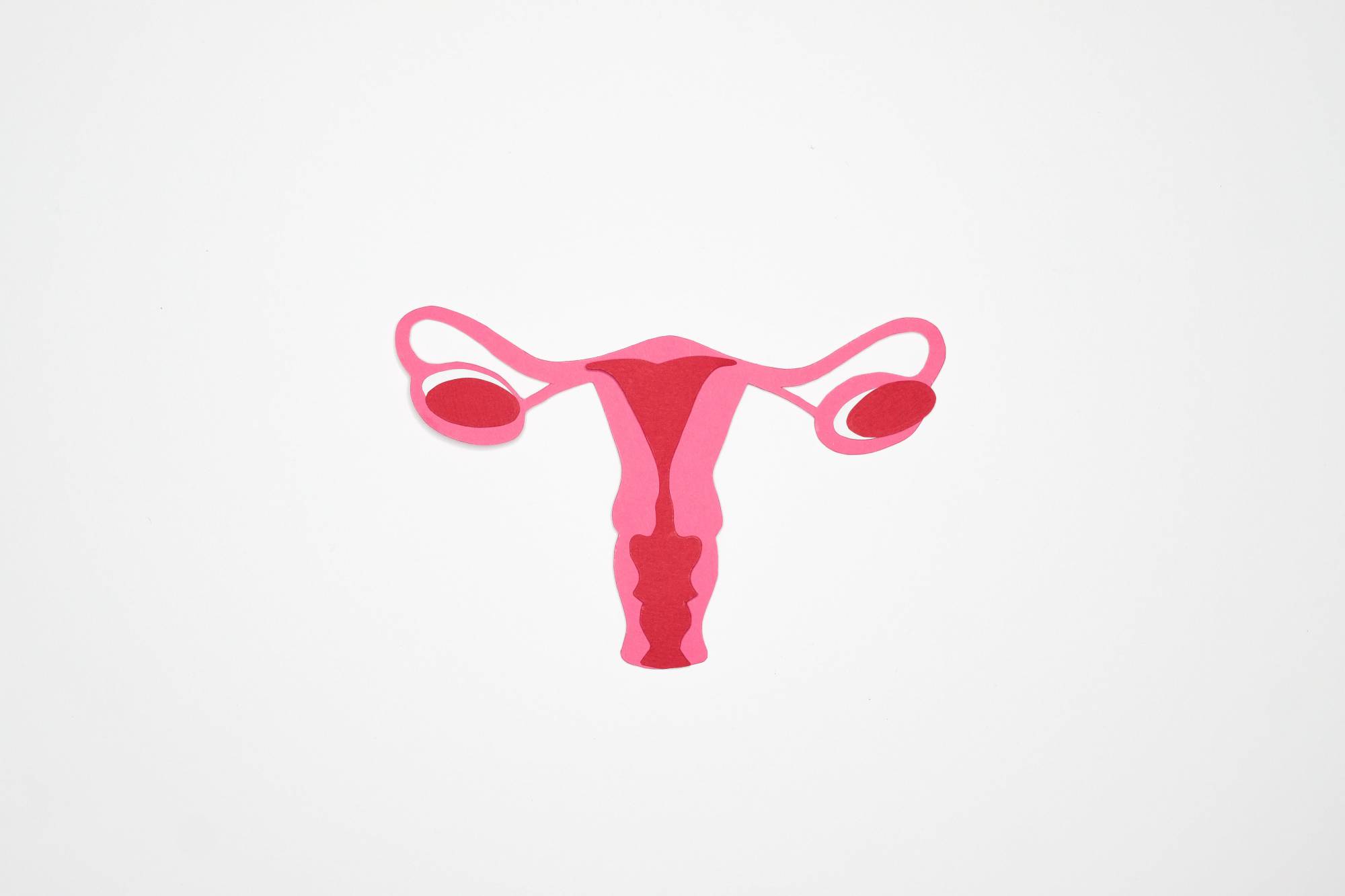 Tumore ovarico, l’appello dell’Ovarian Cancer Commitment