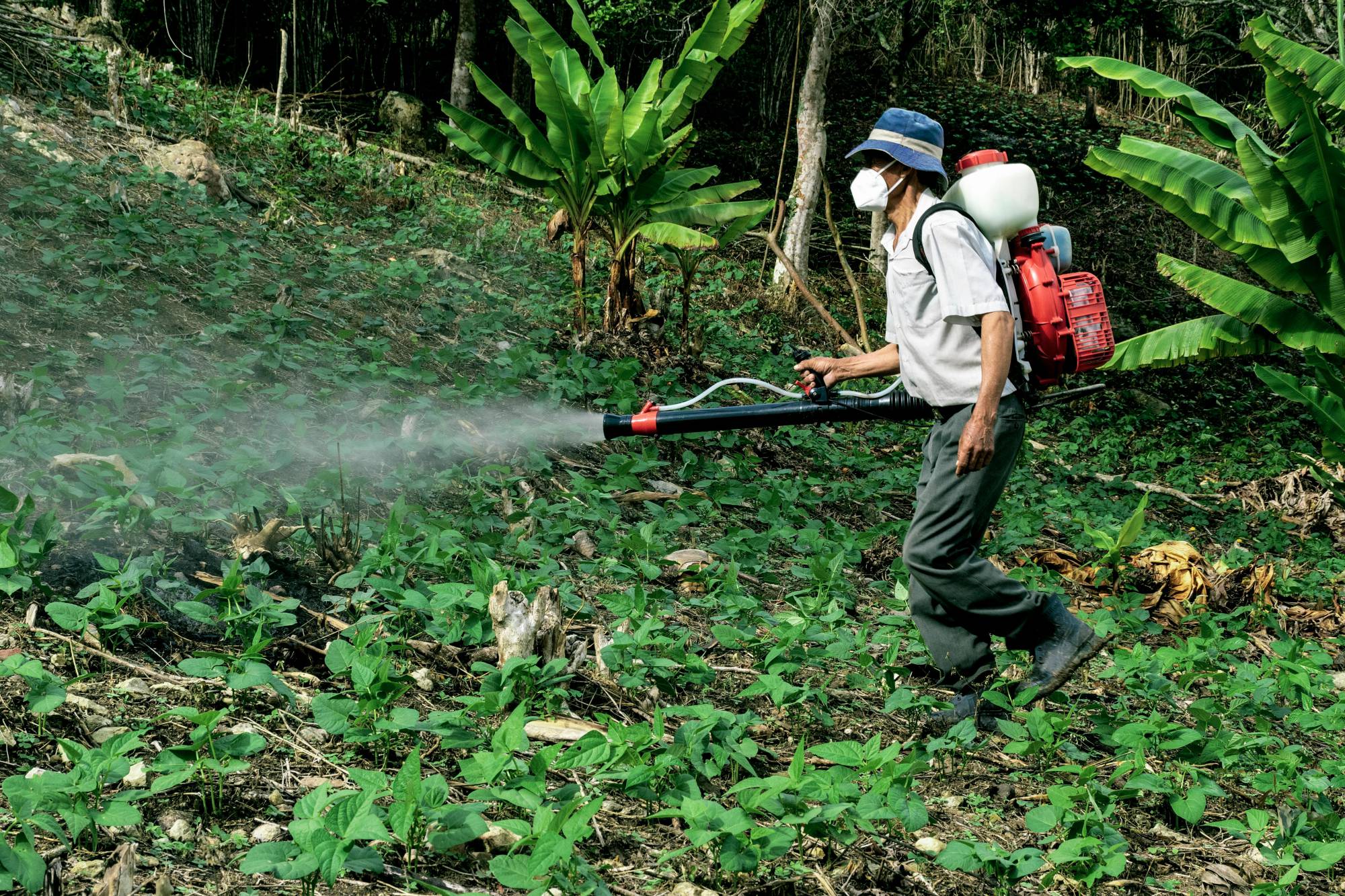 Pesticidi, la Società Italiana di Neurologia lancia un monito per un uso responsabile