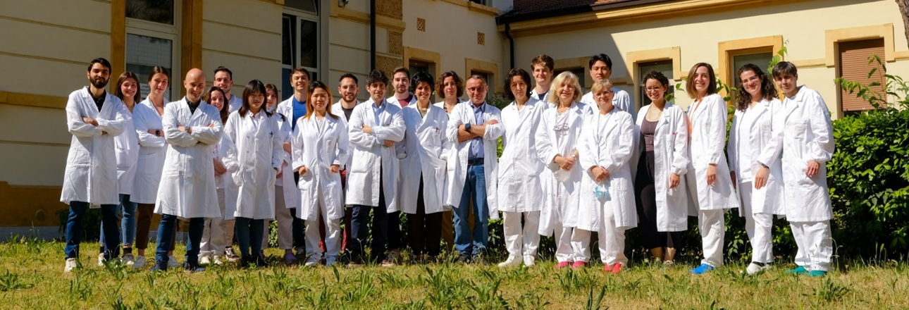 Scoperto nuovo biomarcatore per i tumori al pancreas e al polmone