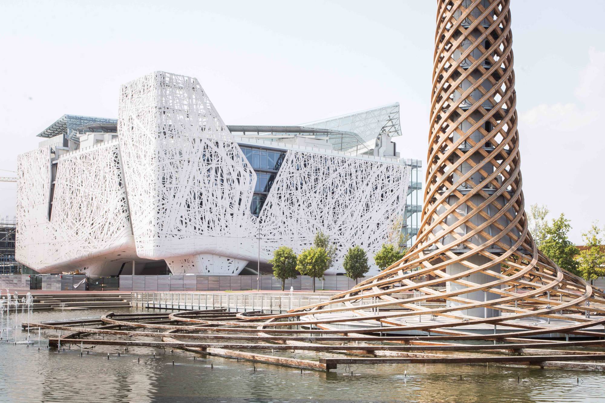 Tumore alla prostata, l’intelligenza artificiale ‘prevede’ le recidive