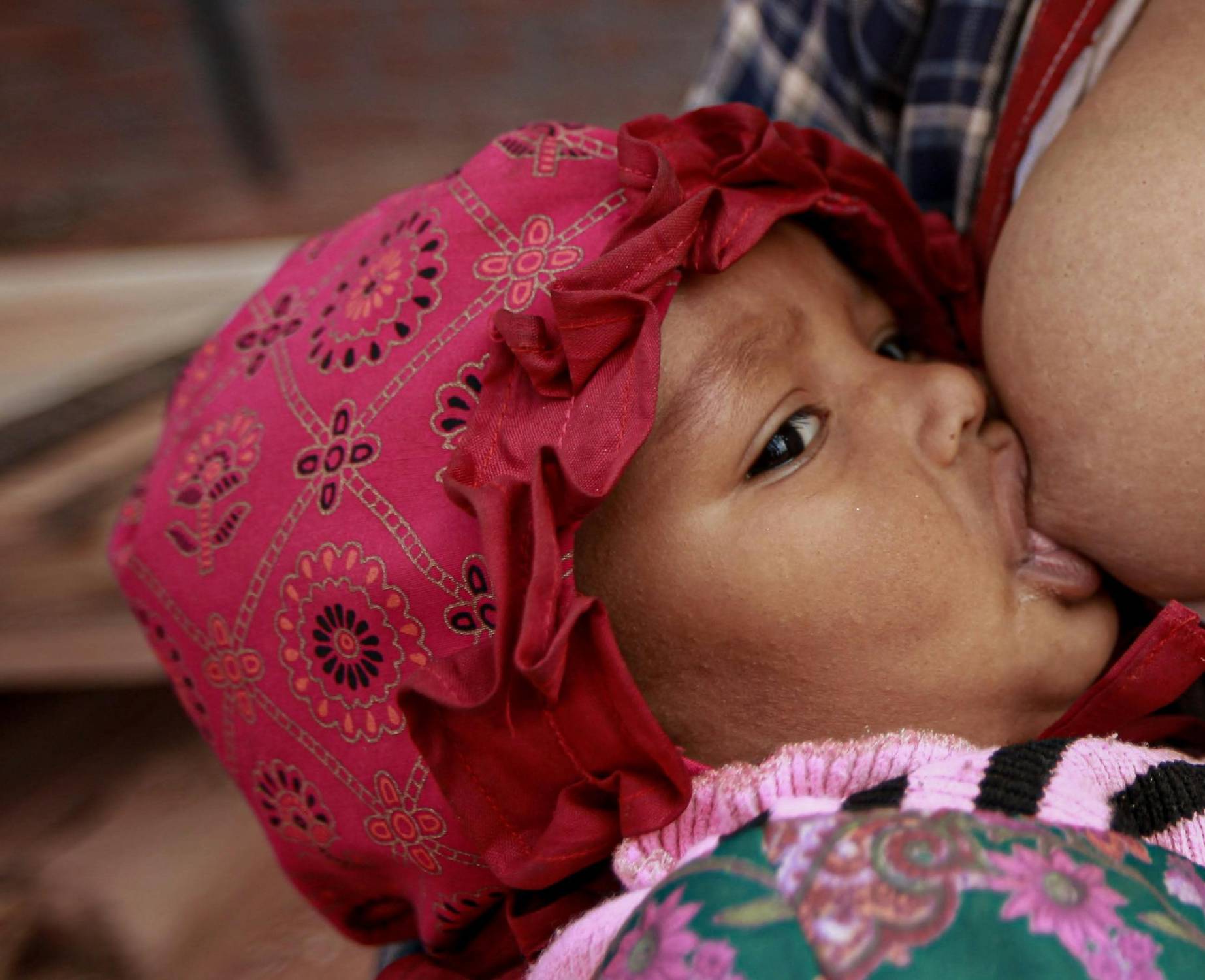 Settimana allattamento al seno, Proietti (FNOPO) “Incrementare sostegno a donne ‘fragili’ per ridurre le disuguaglianze”