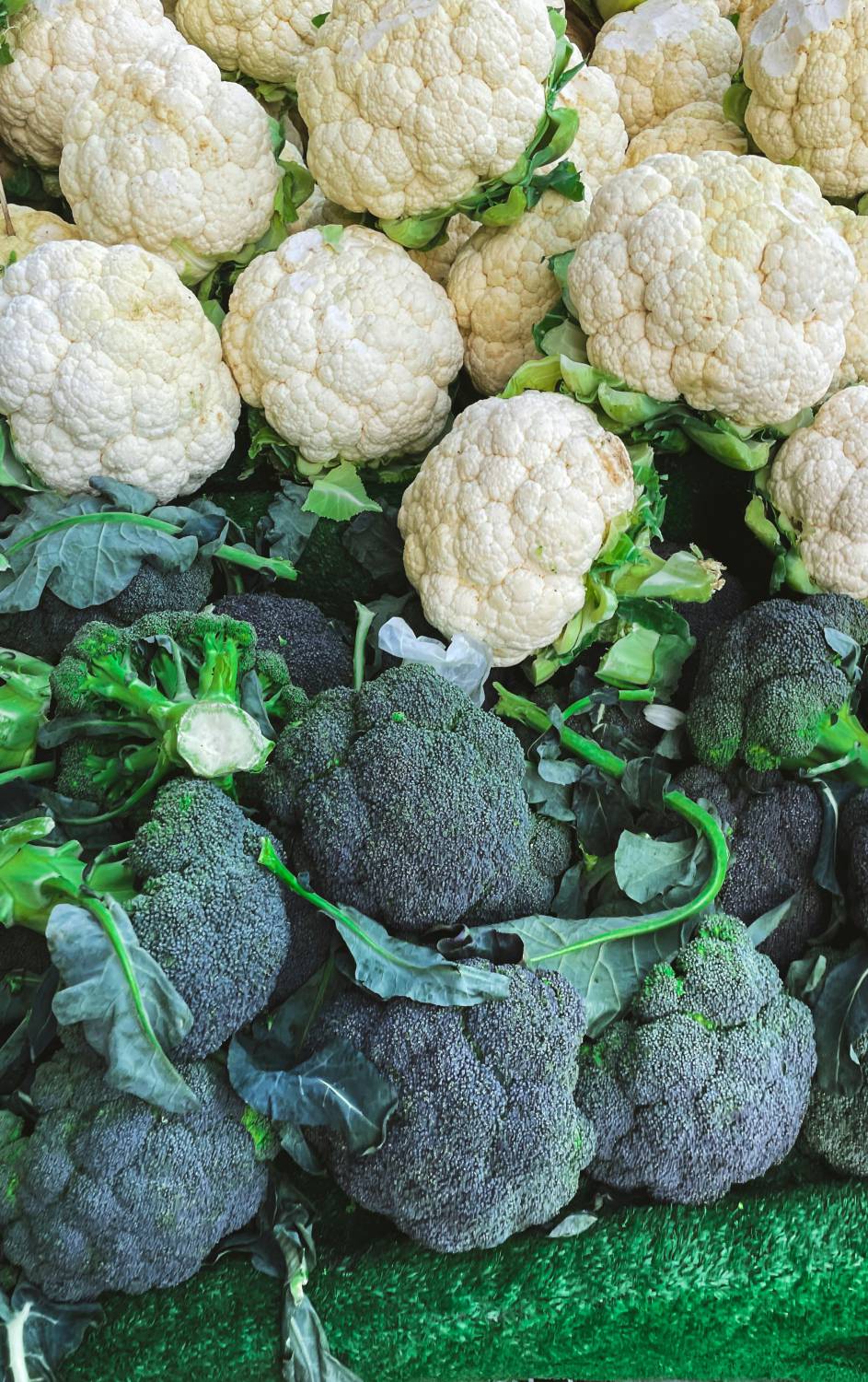Ipertensione: broccoli, cavoli e cavolfiori ne abbassano i valori