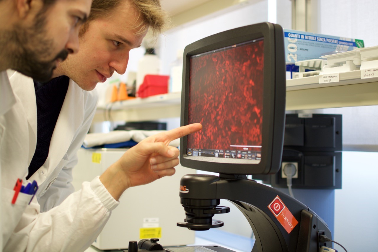 L’evoluzione del tumore è scritta sul genoma, studio italiano scopre una nuova firma molecolare