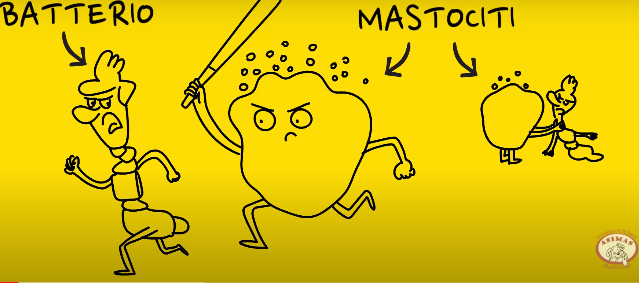 Giornata mastocitosi, Asimas lancia il video “Te lo spiego”