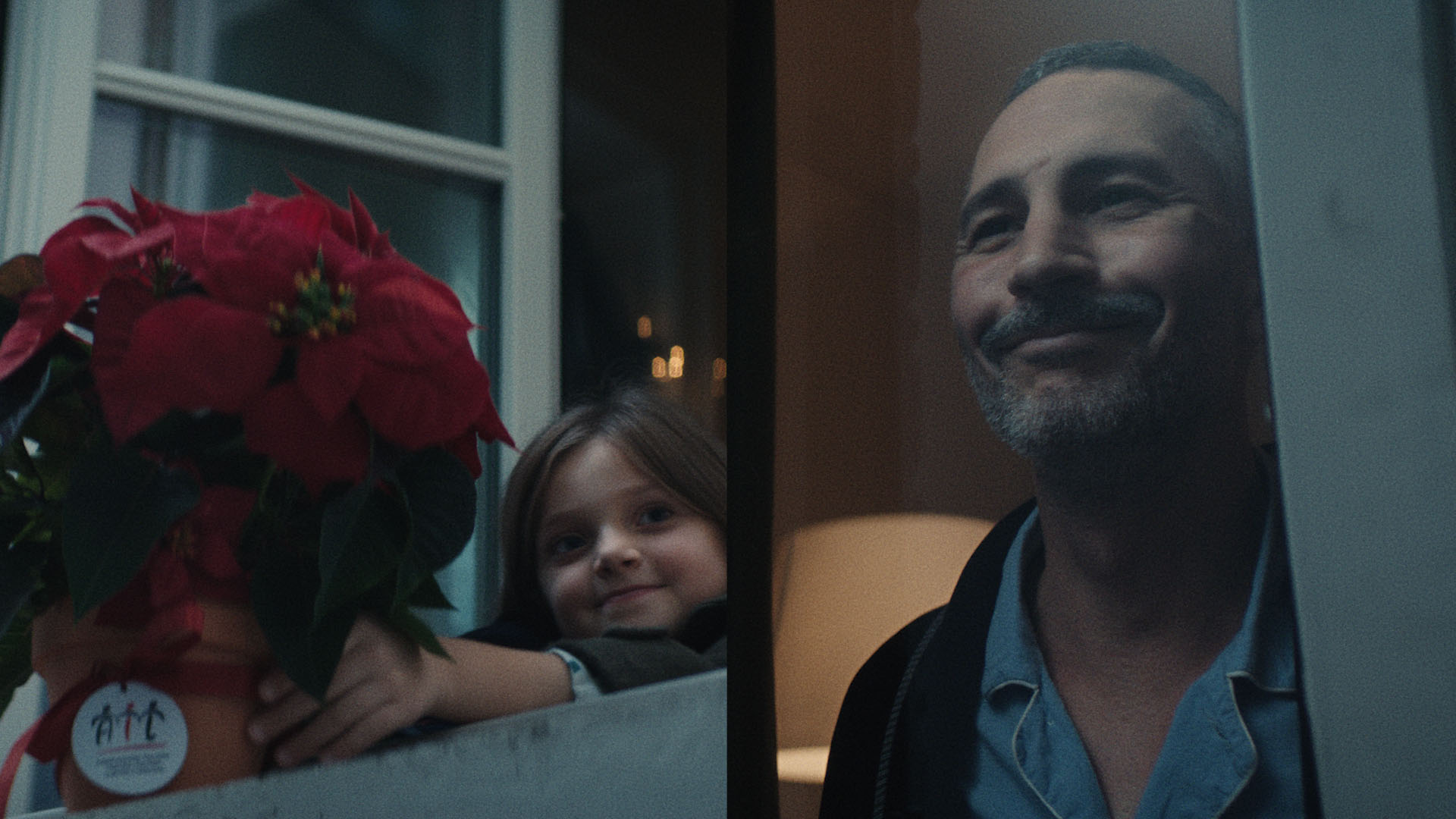 Leucemie, Linfomi e Mieloma, torna la campagna AIL “Stelle di Natale”