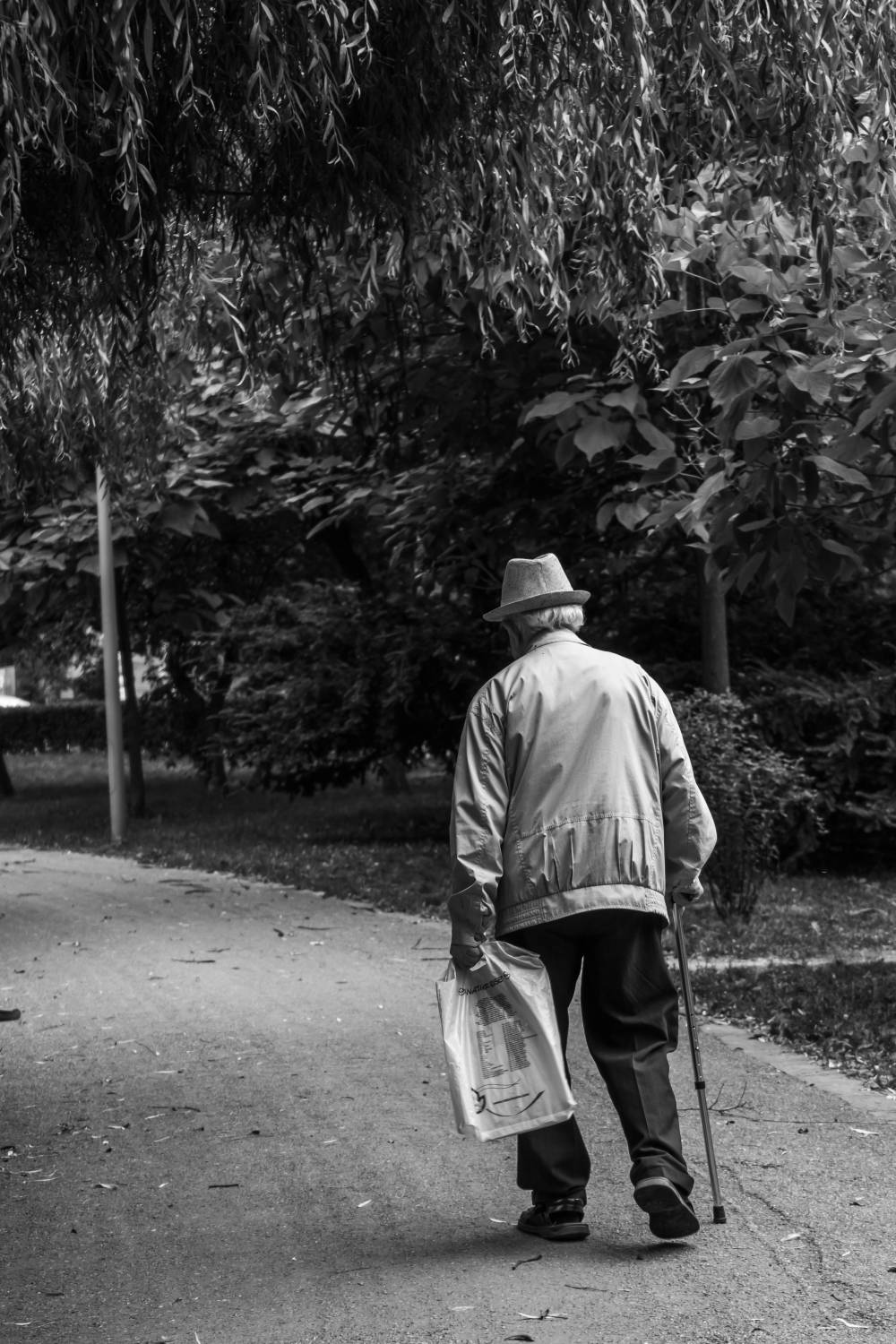 Viviamo più a lungo, ma non in salute: “Per gli italiani gli ultimi 11 anni trascorrono con qualche disabilità”