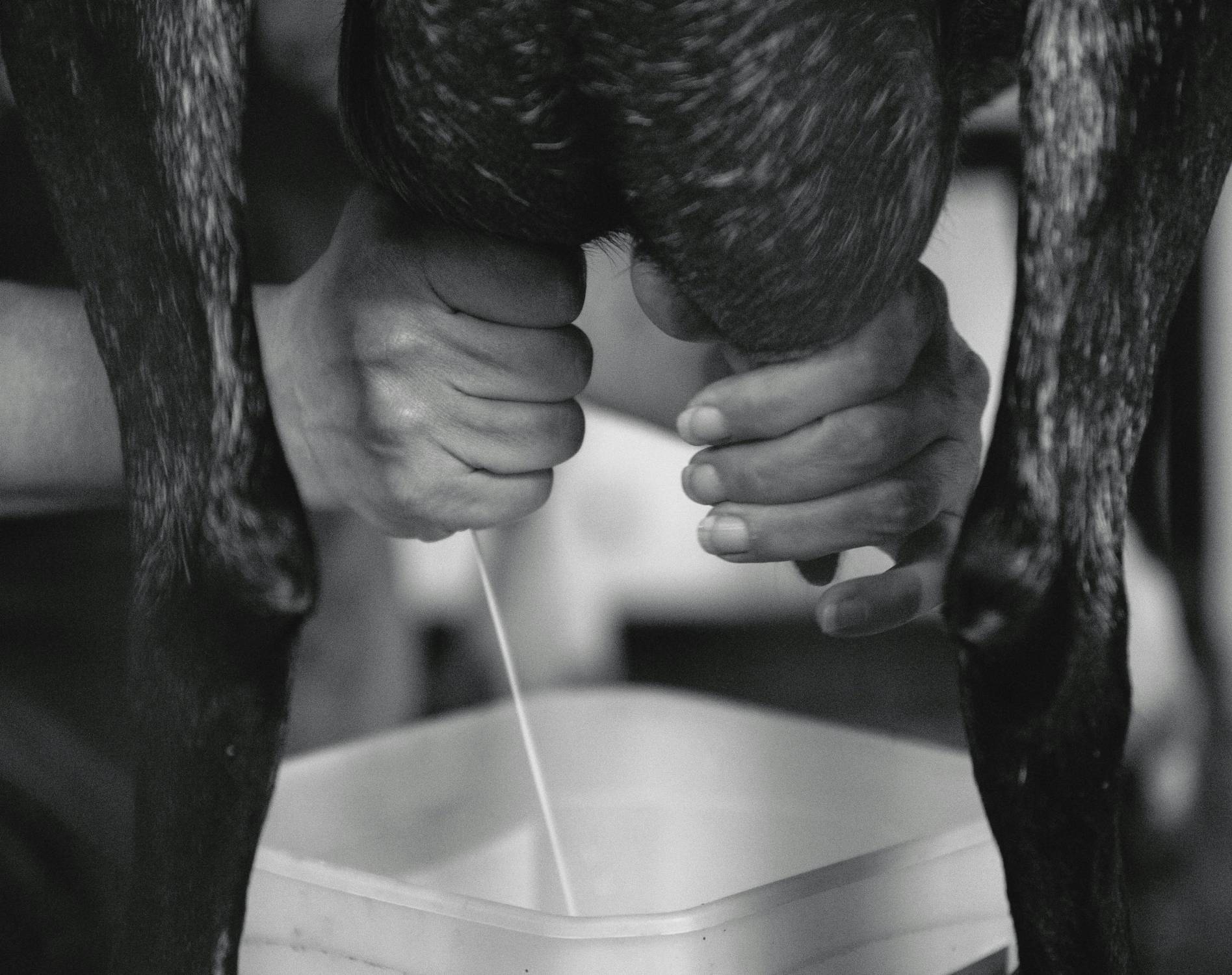 Aviaria, dal 16 dicembre controlli a tappeto su tutto il latte prodotto in America