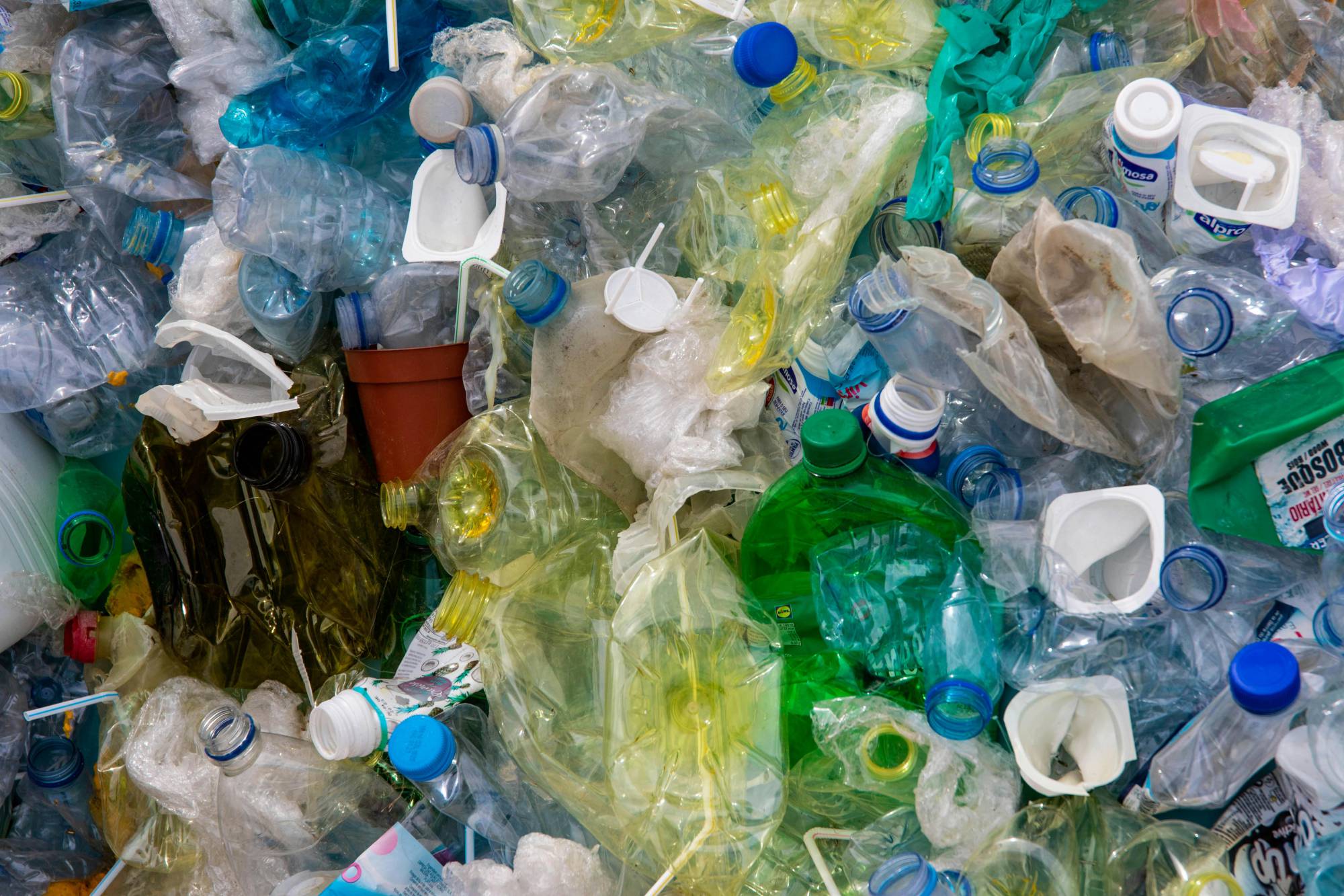 Plastica, oltre 500mila decessi evitabili (solo negli Stati Uniti) con esposizione entro i limiti consentiti