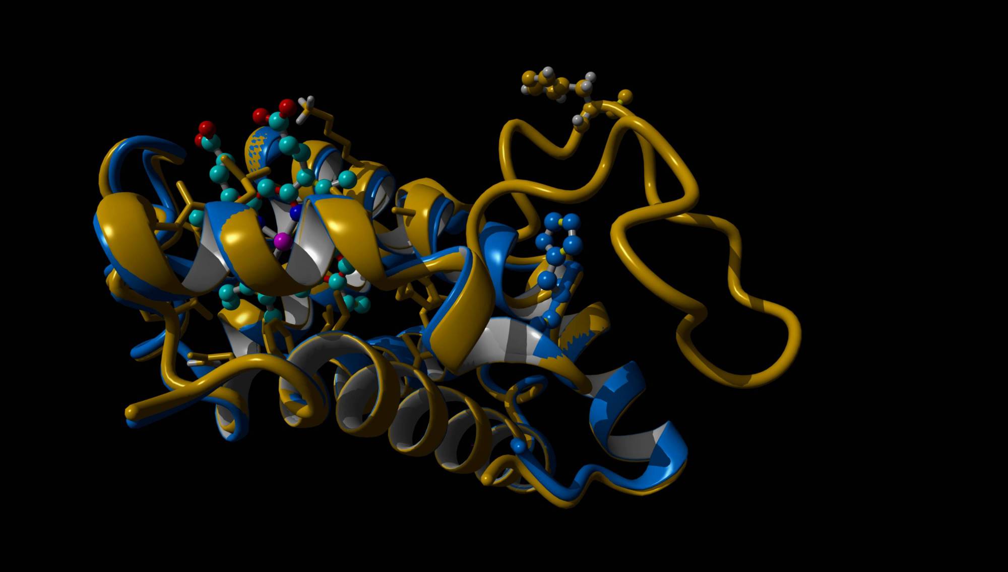 Scoperta l’Emoglobina Monza, si degrada con la febbre