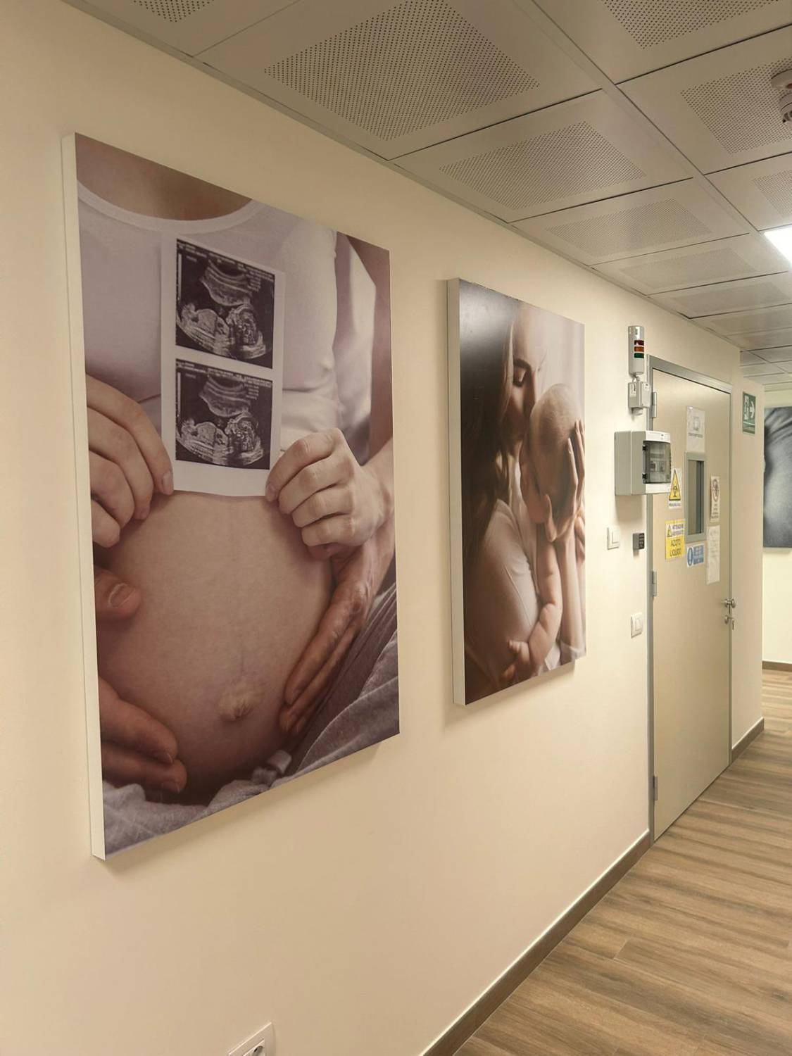 Fecondazione eterologa, social freezing e test genetici finalmente possibili in Sardegna