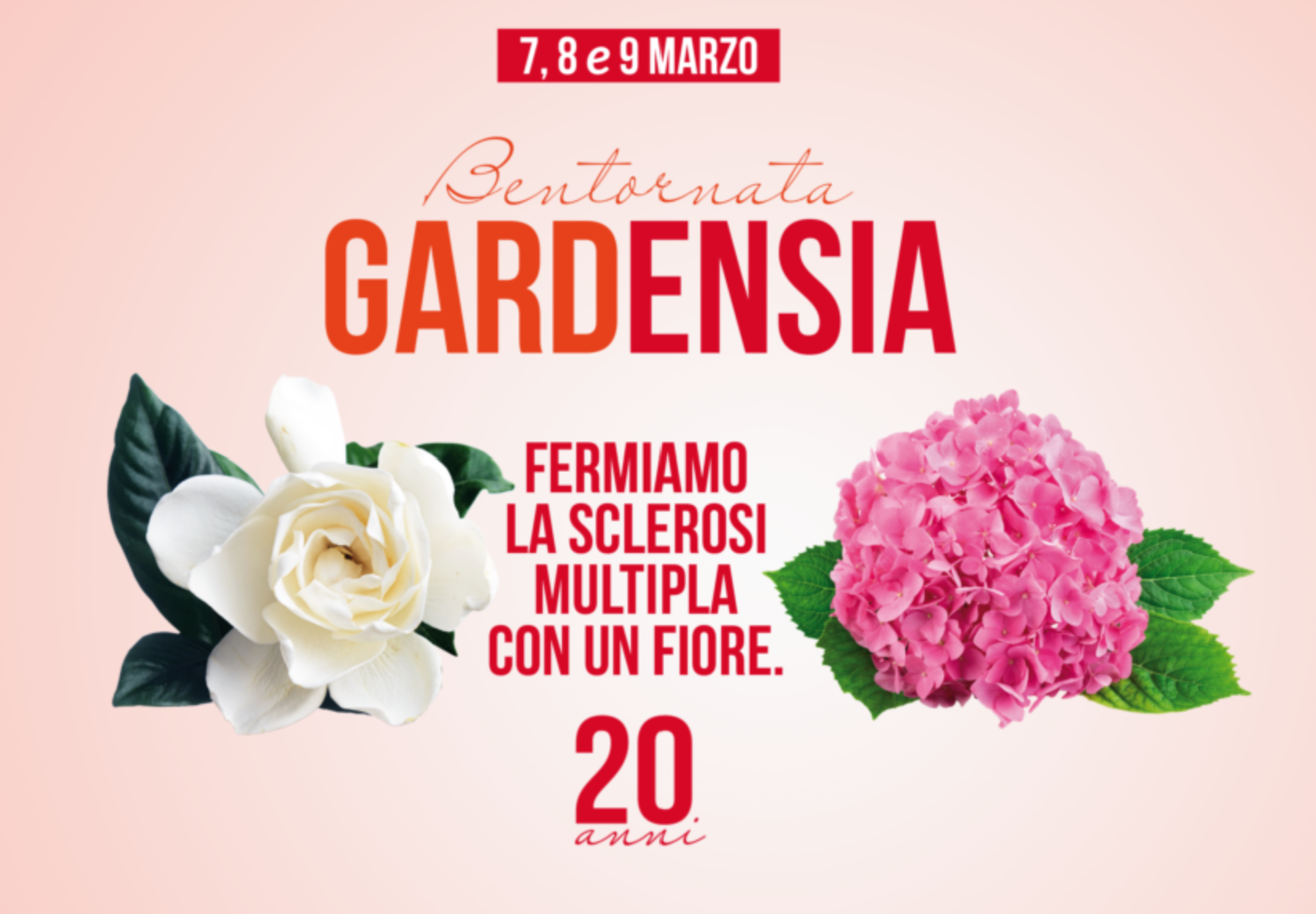 Sclerosi multipla, Giornata della donna: “Torna Gardensia in 5mila piazze”