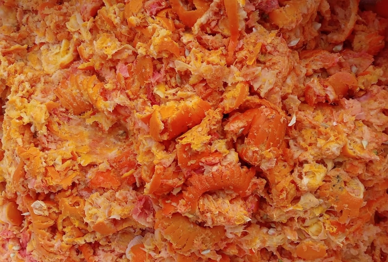 Dall’estratto di arancia rossa un nuovo “alleato” per l’encefalopatia epatica