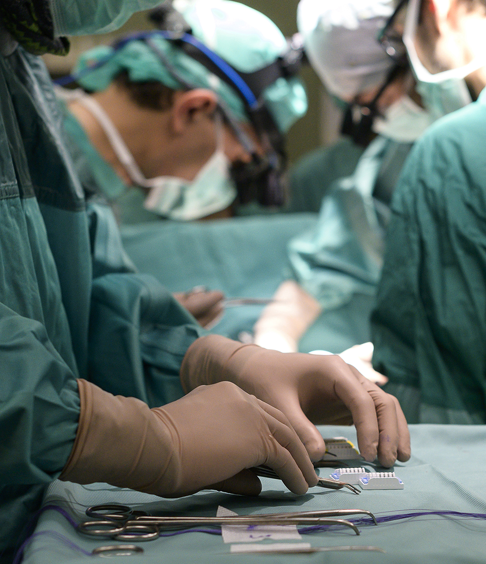 Al Bambino Gesù fegati espiantati tenuti in vita per lo studio delle malattie metaboliche