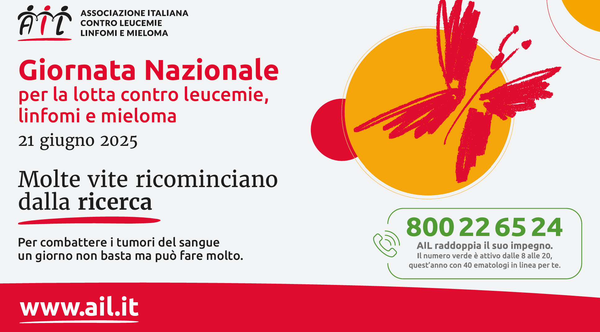 Giornata contro le leucemie, AIL: “Dal numero verde ‘Problemi Ematologici’ alla vela-terapia”
