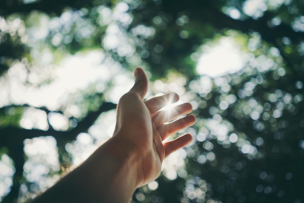 DIABETE DI TIPO 2, LA LUCE NATURALE COME MODULATORE METABOLICO