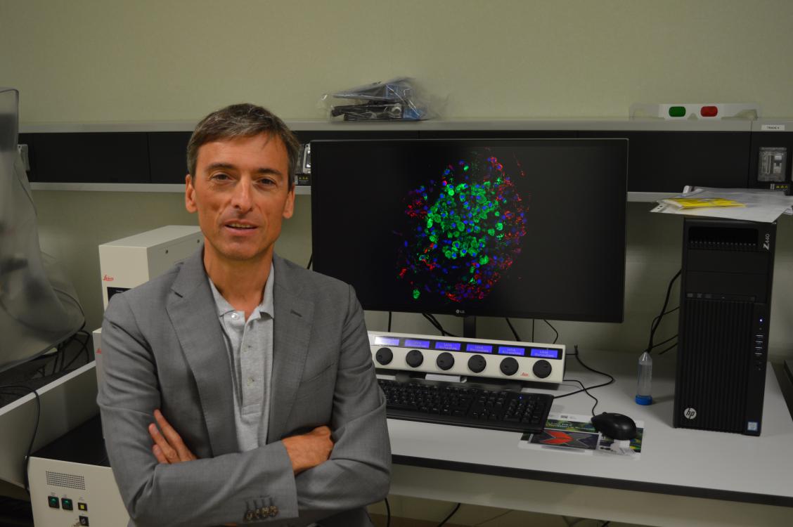 DIABETE DI TIPO 1: POSSIBILE RITARDARE LA MALATTIA. IMMUNOTERAPIA, TERAPIA GENICA E CELLULE STAMINALI APRONO UNA NUOVA ERA
